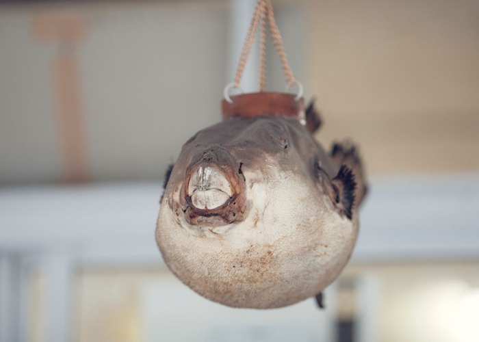 700x500 hinomisaki34