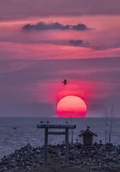 第１回　入選　「聖地落日」　渡辺　正史　（撮影場所：経島）