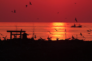 第２回　「黄昏の経島」　勝部 美智夫　（撮影場所：経島）